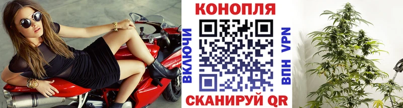 Цена Десногорск Марихуана  ТГК  Гашиш  Меф мяу мяу  COCAIN  A PVP  Псилоцибиновые грибы 