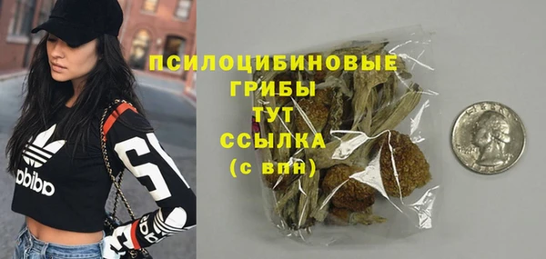 шишки Михайловск