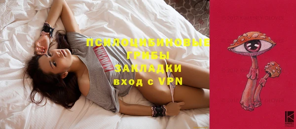 apvp Михайлов