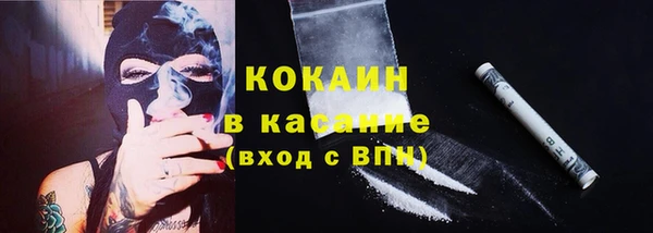 apvp Михайлов