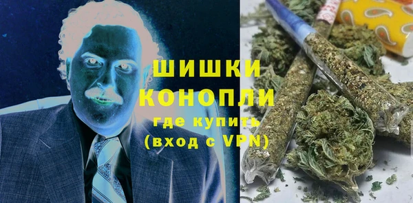 шишки Михайловск