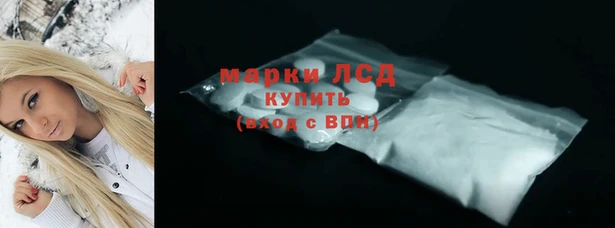 шишки Михайловск