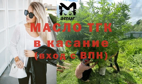 шишки Михайловск