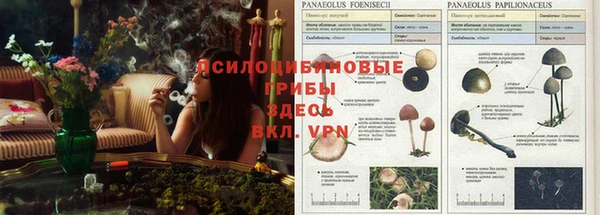 меф Нея