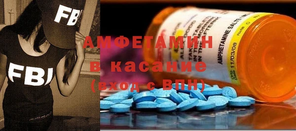 шишки Михайловск