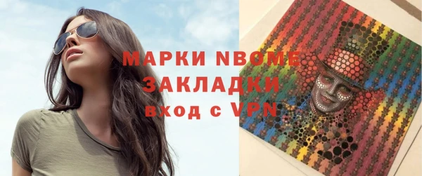 шишки Михайловск