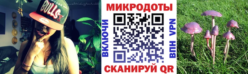 Галлюциногенные грибы Psilocybine cubensis Десногорск