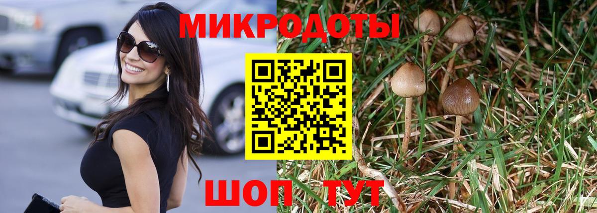 Псилоцибиновые грибы мухоморы Десногорск