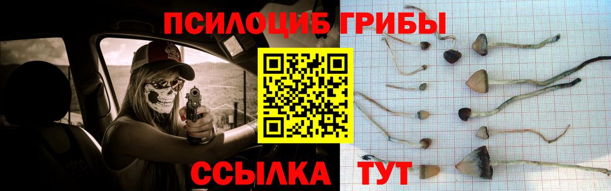 наркотики  Псилоцибиновые грибы ЛСД  Вход с VPN  Десногорск  Псилоцибиновые грибы Magic Shrooms 